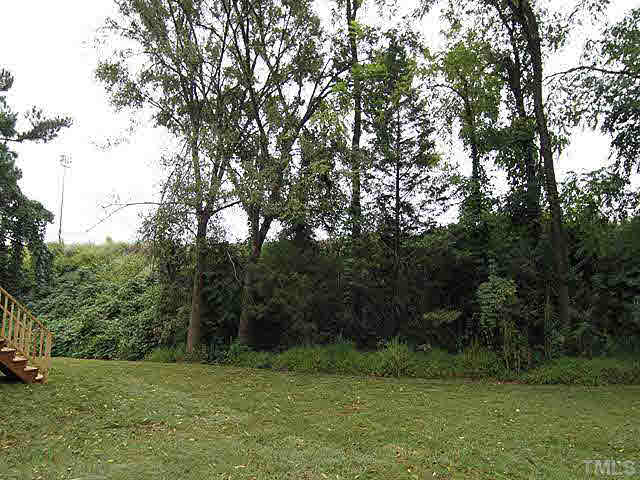 305 Mulberry Street Raleigh, NC 27604 - Photo 23 of 25 Back Yard