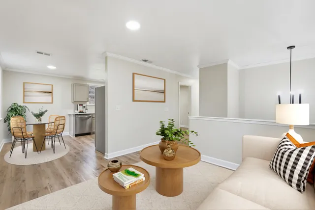 a living room with furniture and a potted plant