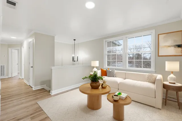a living room with furniture and a potted plant