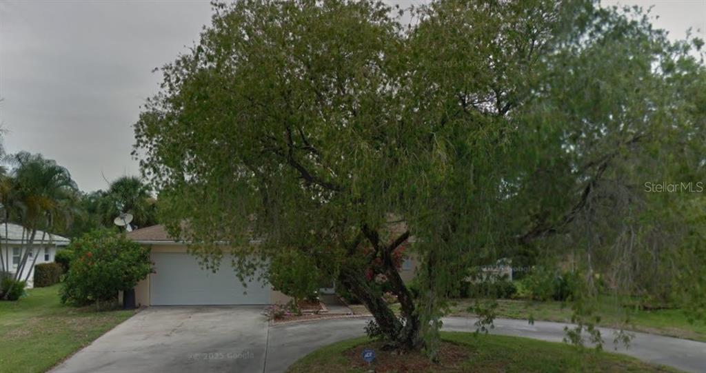 a view of a forest with trees in front of it