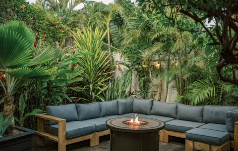 a view of a patio with couches and a potted plant