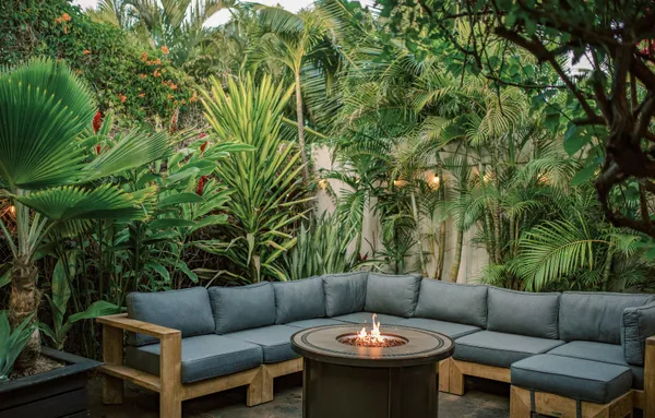 a view of a patio with couches and a potted plant