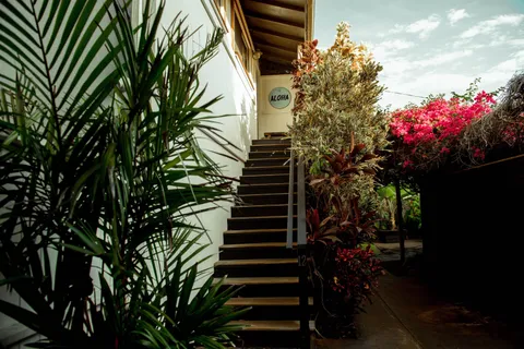 a view of a house with a tree