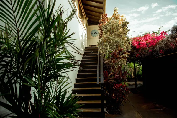 a view of a house with a tree