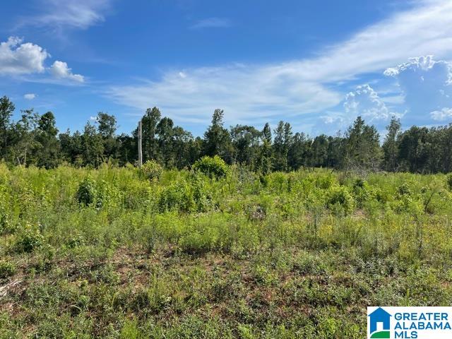 16 County Road, Unit TRACT 2 76 Roanoke, AL 36274 - Photo 1 of 4