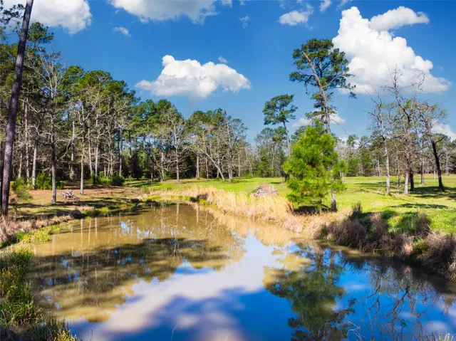 a view of a swimming pool with a yard
