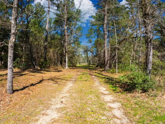 a house with trees in front of it