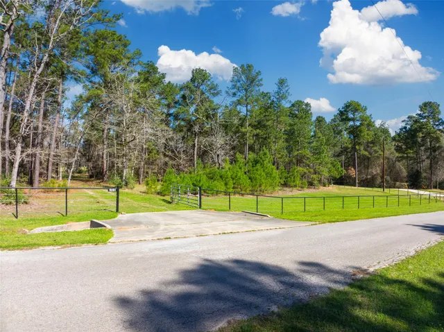 a view of a park with large trees