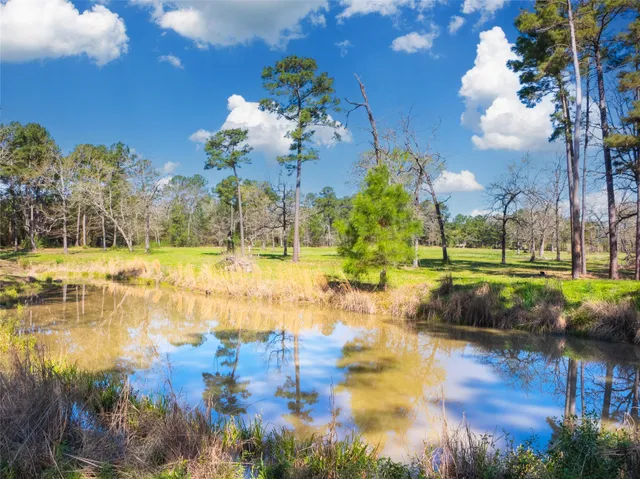 a view of a swimming pool with a yard