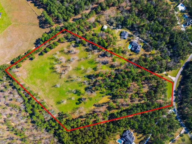 a picture of flowers