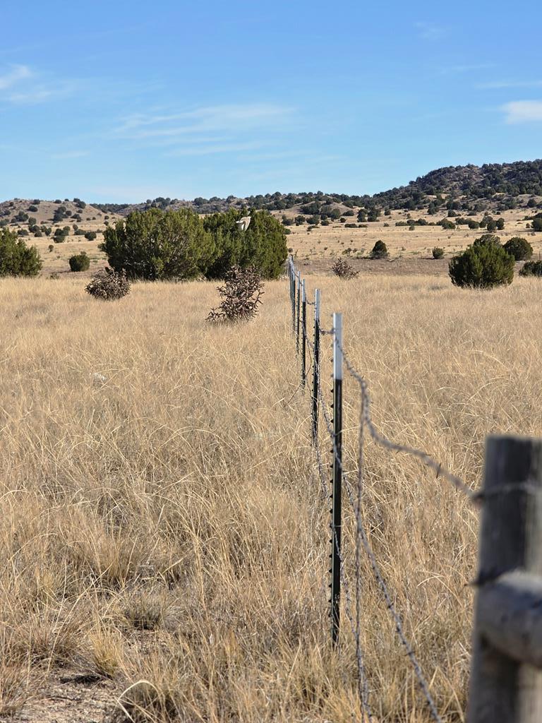 Tbd Lot 14 Tbd Road Pueblo, CO 81005 - Photo 11 of 12