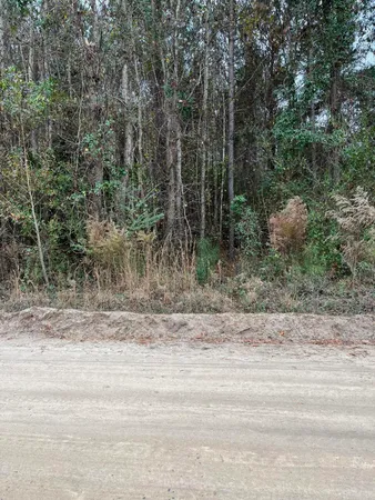 $89,640 | 0 Ryn Street, Cope, SC 29038