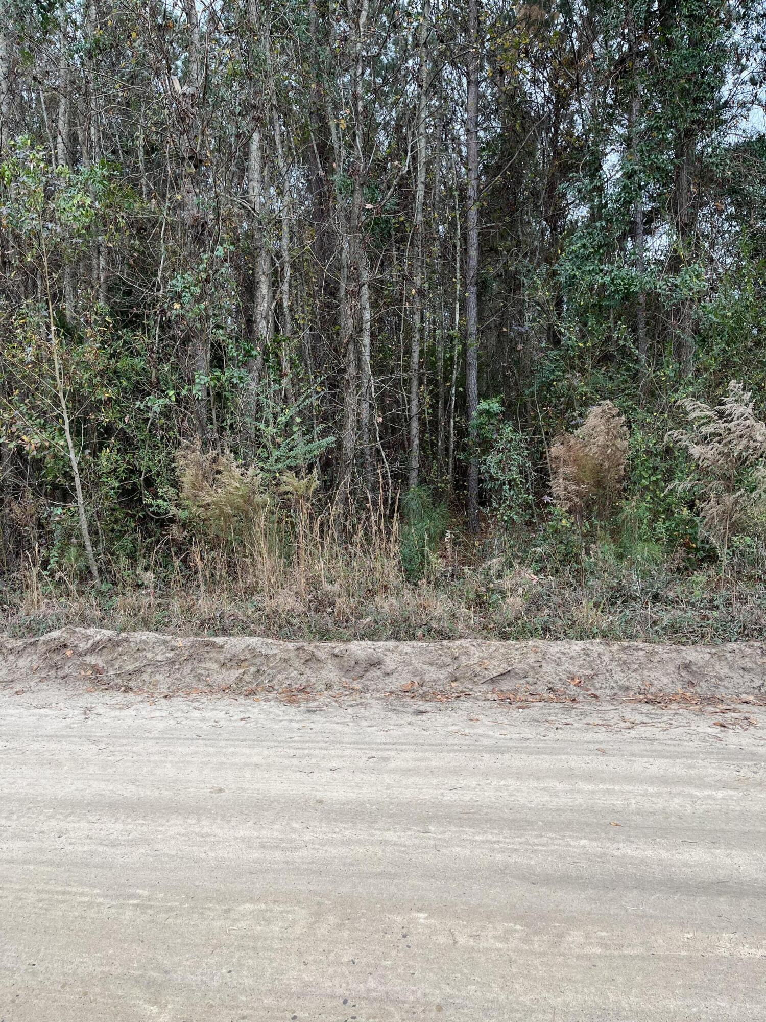 0 Ryn Street Cope, SC 29038 - Photo 4 of 8 IMG_6079