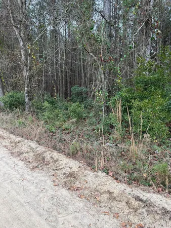 $89,640 | 0 Ryn Street, Cope, SC 29038