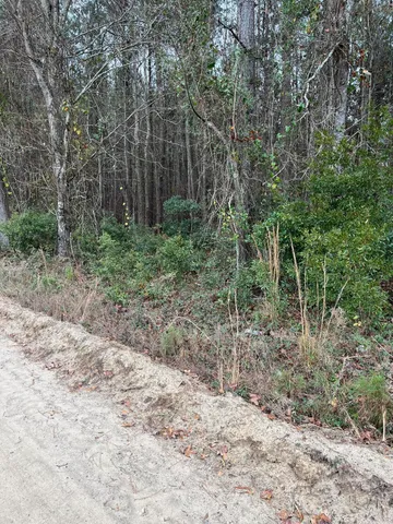 $89,640 | 0 Ryn Street, Cope, SC 29038