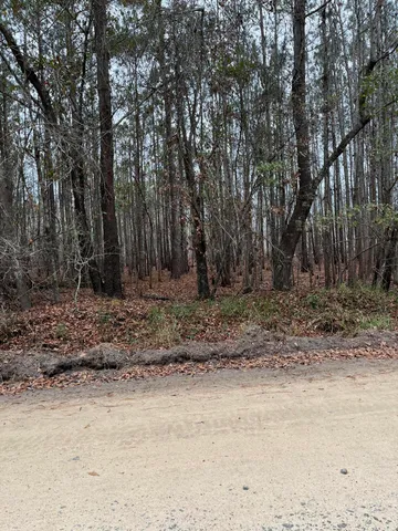 $89,640 | 0 Ryn Street, Cope, SC 29038