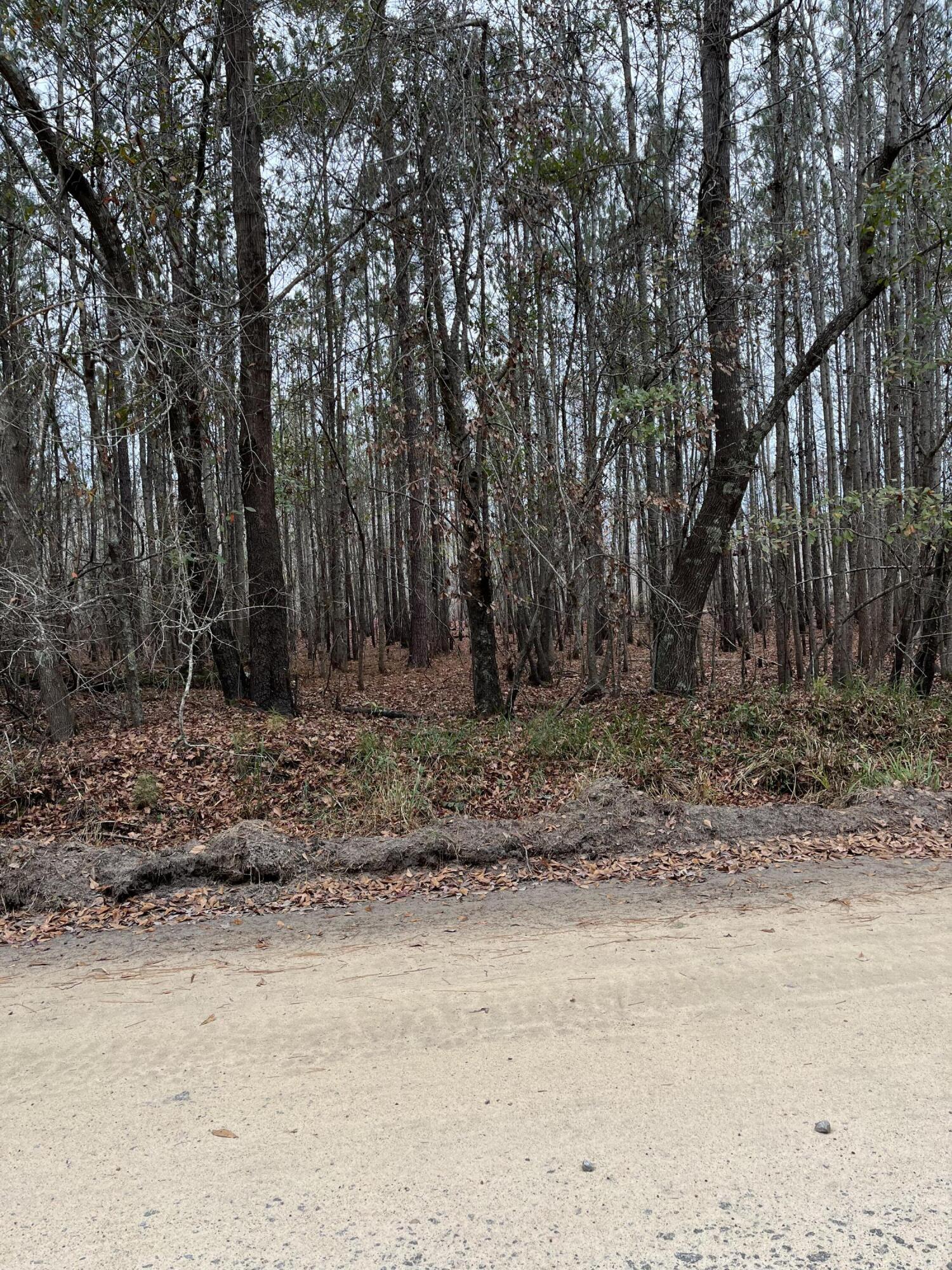 0 Ryn Street Cope, SC 29038 - Photo 6 of 8 IMG_6081