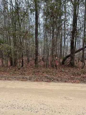 $89,640 | 0 Ryn Street, Cope, SC 29038