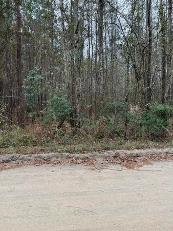 $89,640 | 0 Ryn Street, Cope, SC 29038