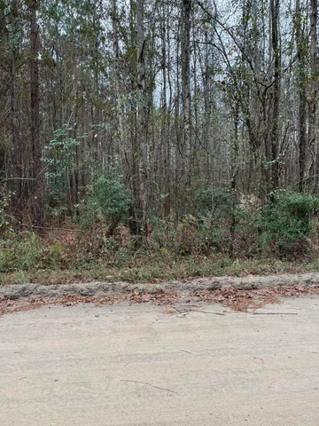 $89,640 | 0 Ryn Street, Cope, SC 29038