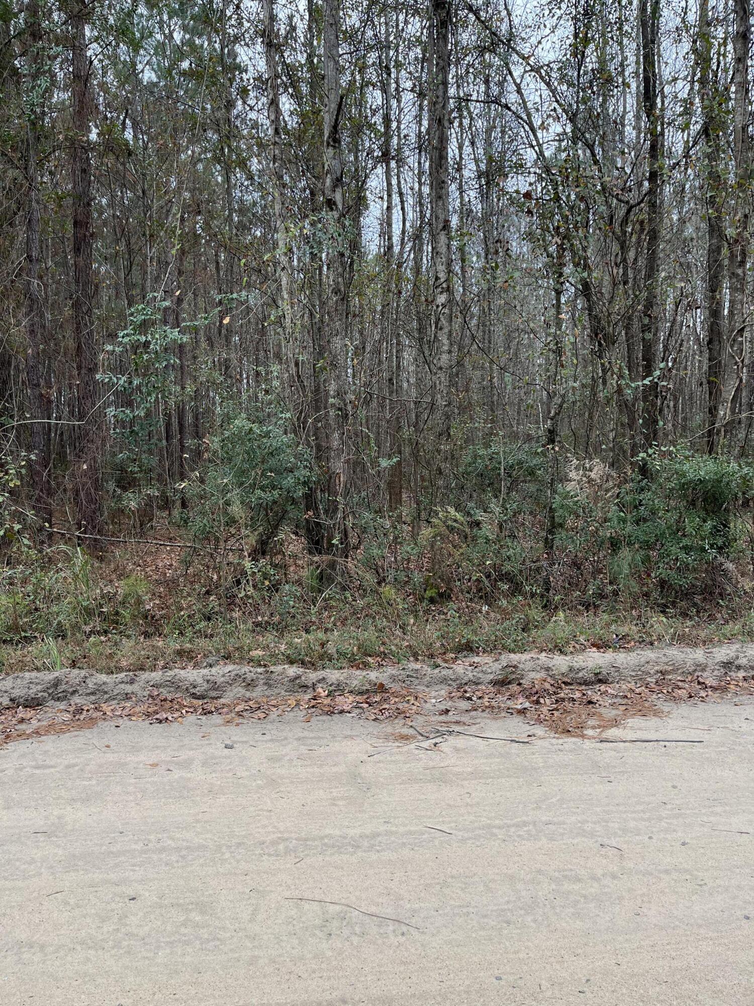 0 Ryn Street Cope, SC 29038 - Photo 8 of 8 IMG_6083