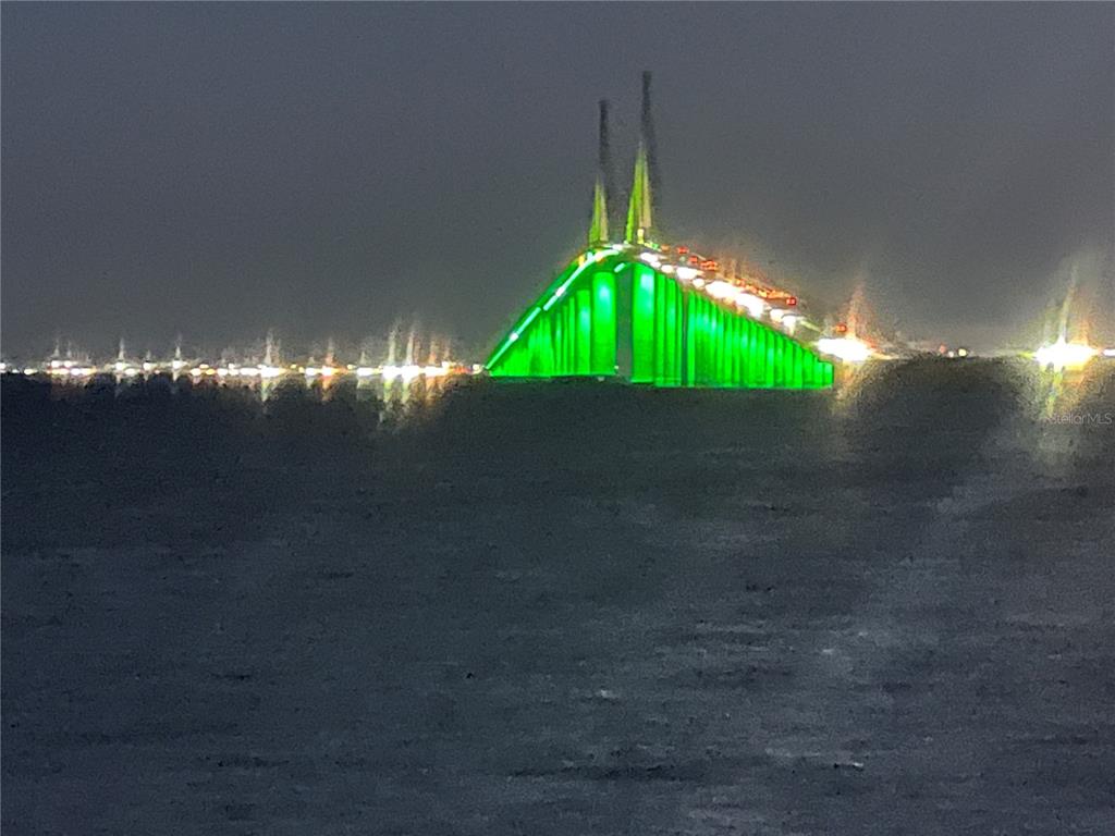 912 Piney Point Road Palmetto, FL 34221 - Photo 9 of 10 a small garden covered with green space