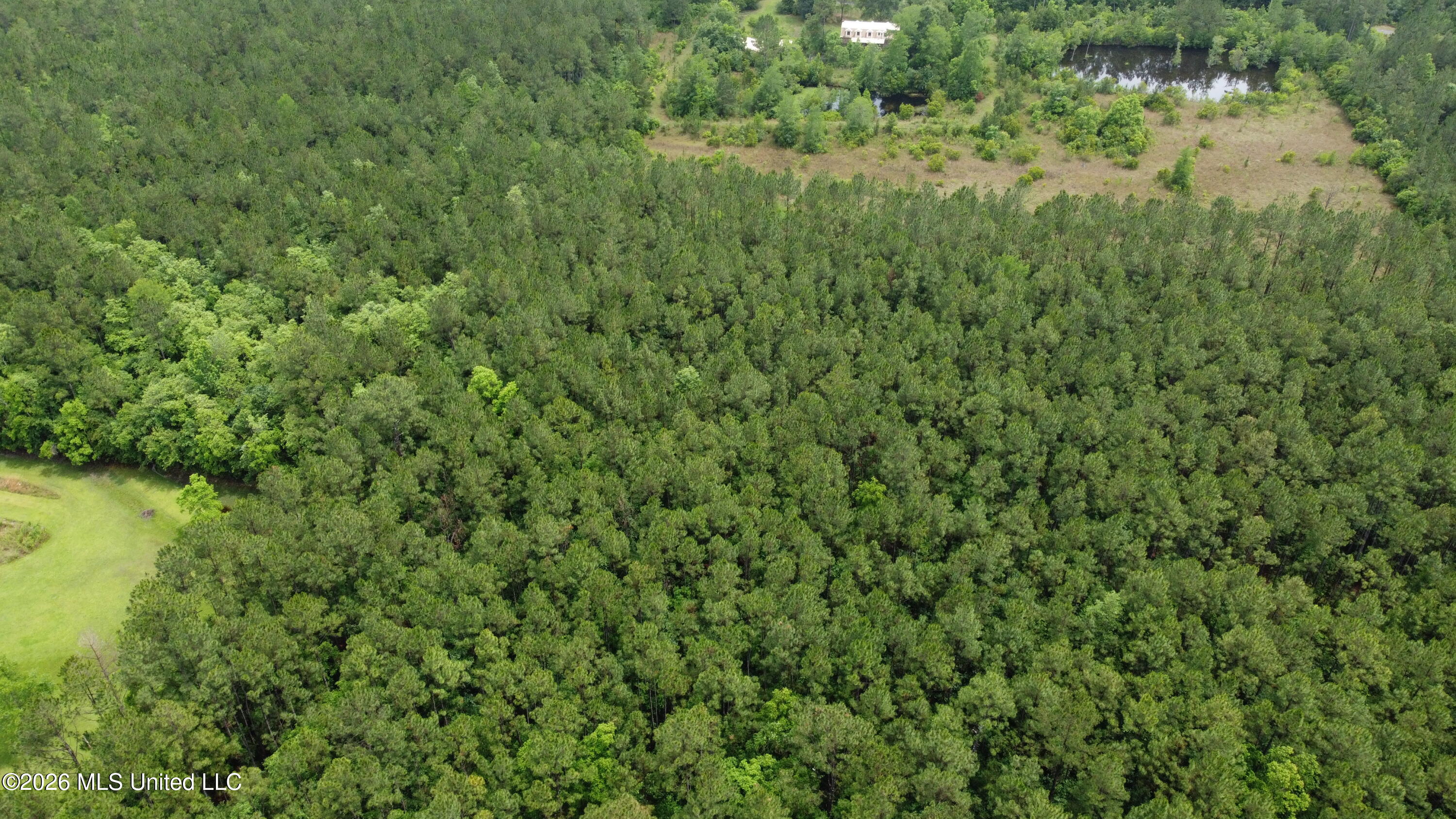 21205 South Fork Road Saucier, MS 39574 - Photo 11 of 23 dji_fly_20260521_140634_394_177939043552