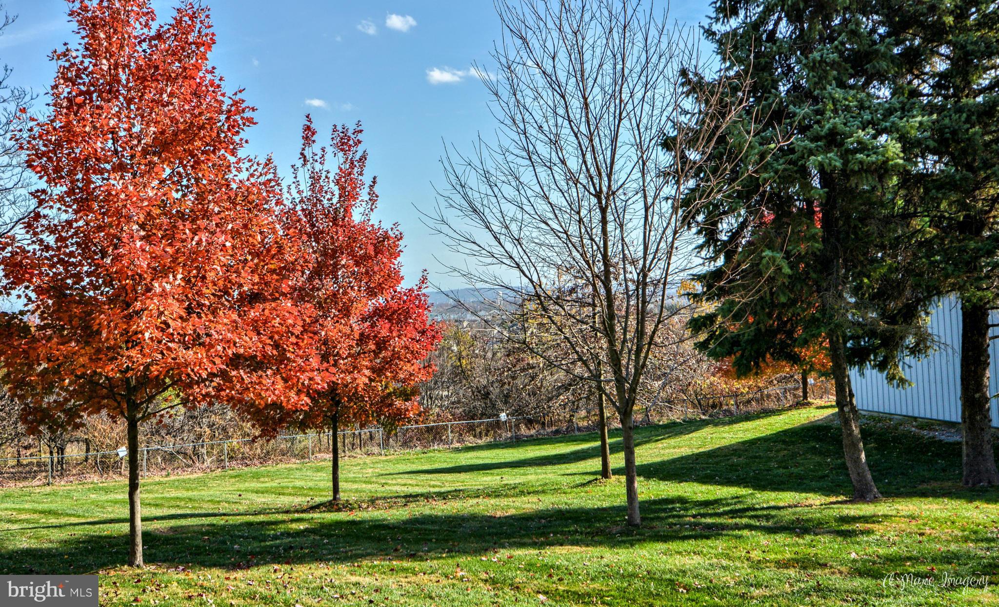 8021 Rocky Springs Road Frederick, MD 21702 - Photo 2 of 30 a view of a park with large trees