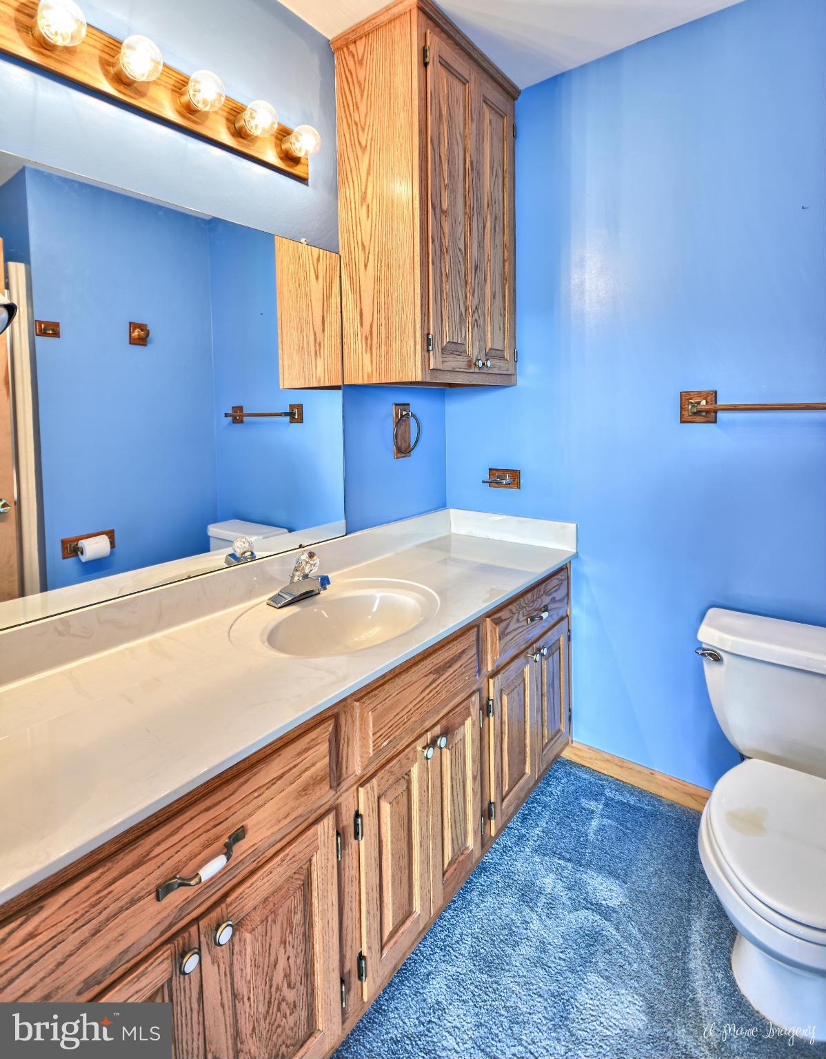 8021 Rocky Springs Road Frederick, MD 21702 - Photo 16 of 30 a bathroom with a sink a toilet and a window