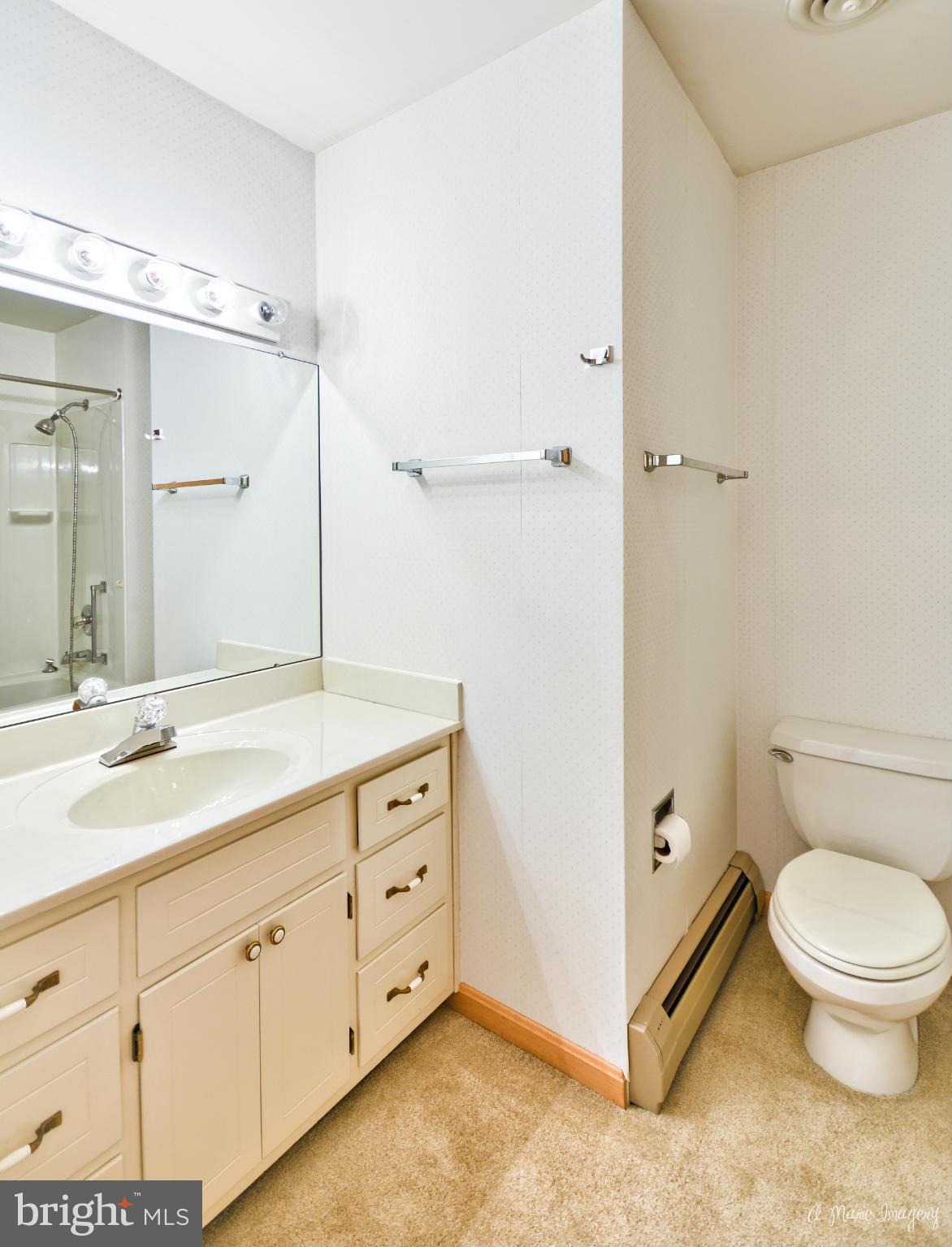 8021 Rocky Springs Road Frederick, MD 21702 - Photo 19 of 30 a spacious bathroom with a double vanity sink toilet and shower