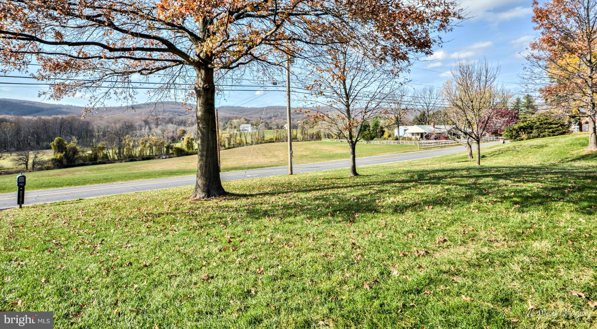 8021 Rocky Springs Road Frederick, MD 21702 - Photo 28 of 30 a view of a yard with a tree