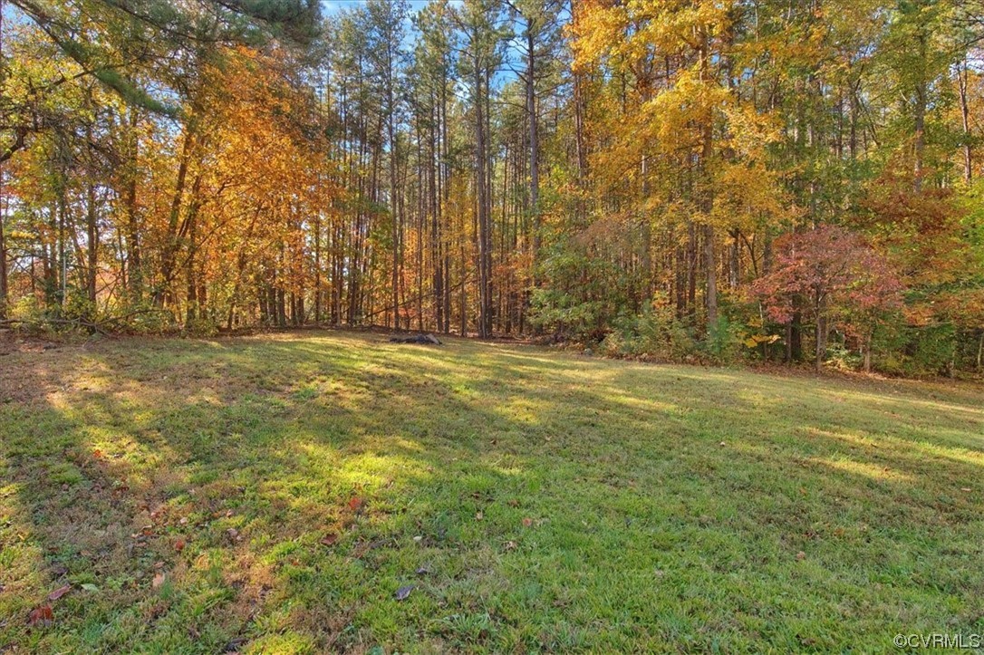 3350 Forest Grove Road Sandy Hook, VA 23153 - Photo 39 of 42 a view of outdoor space with trees all around