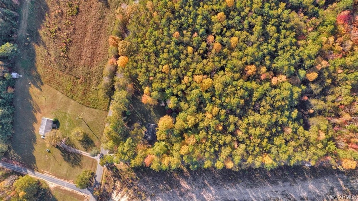 3350 Forest Grove Road Sandy Hook, VA 23153 - Photo 42 of 42 a picture of a tree