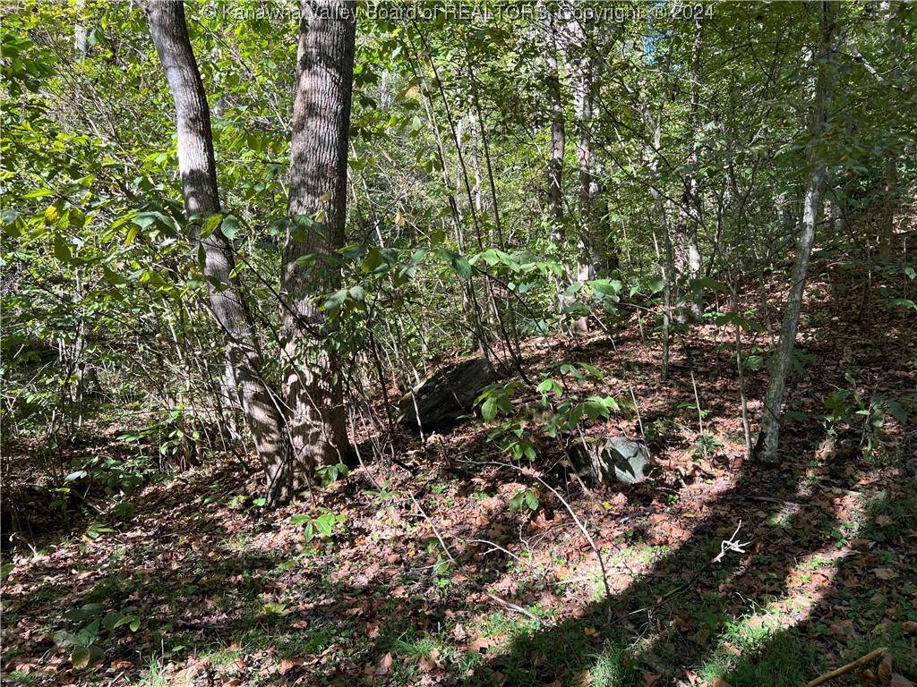 1586 Porter Creek Road Bomont, WV 25030 - Photo 10 of 12 Gallery Image 10