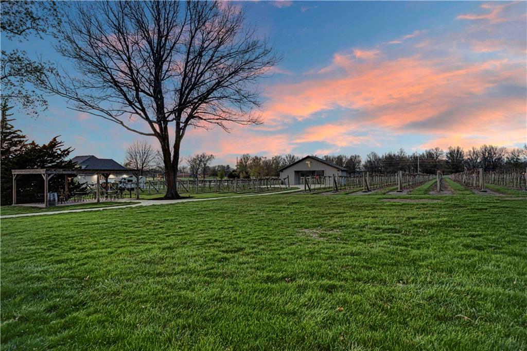 24607 Northeast Colbern Road Lee's Summit, MO 64086 - Photo 4 of 21
