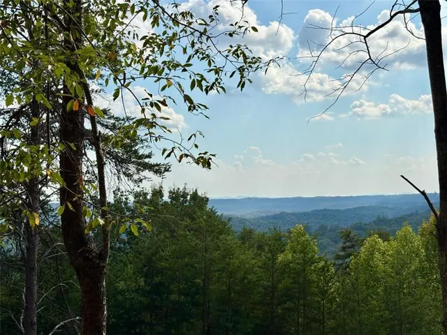 a view of a lot of trees and a yard