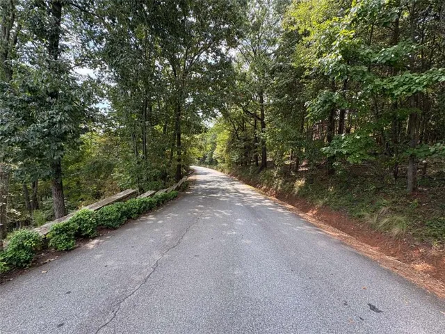 a view of a road with plants and trees beside of it