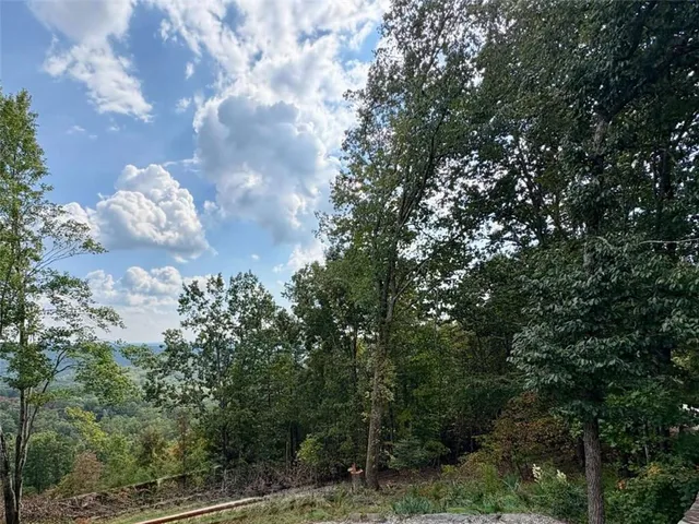 a view of a city with lush green forest