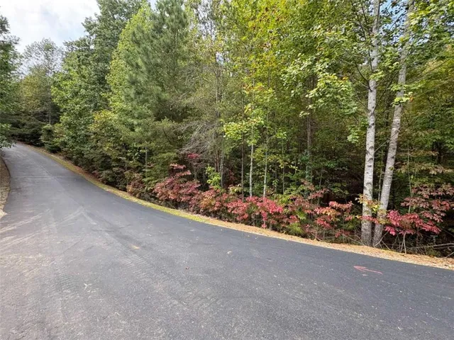 a view of a garden with plants