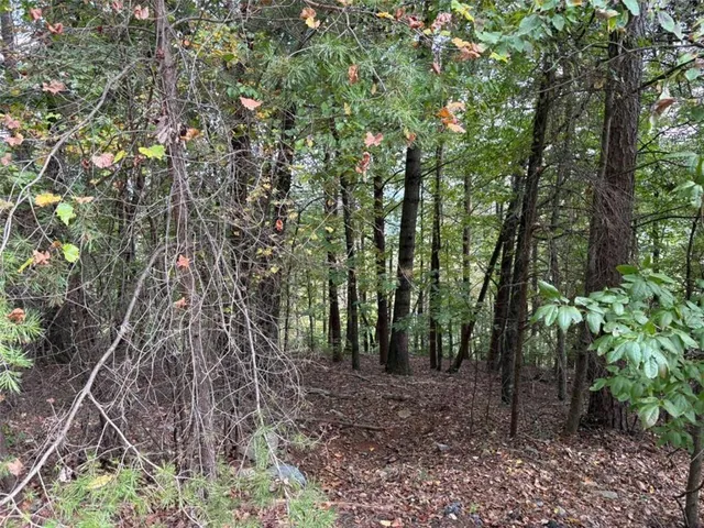 a view of outdoor space and green space
