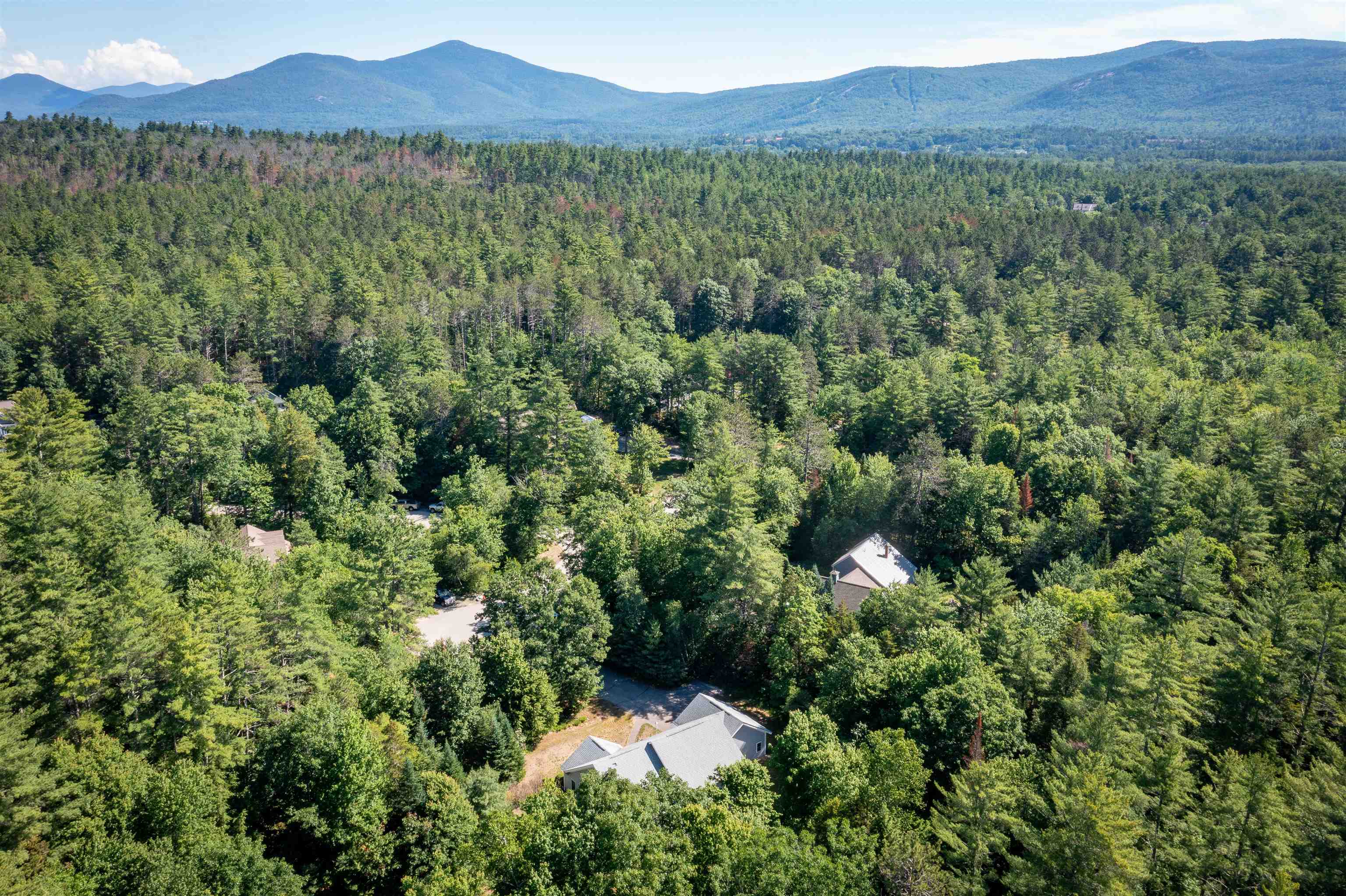 407 Dandiview Road Conway, NH 03860 - Photo 46 of 49