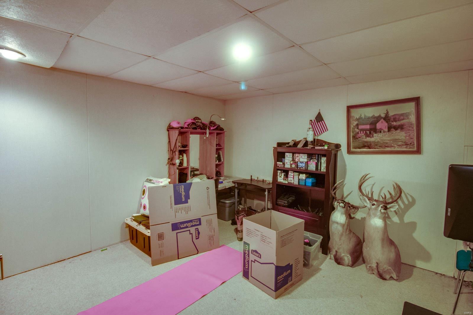 1807 Arrowhead Lane Godfrey, IL 62035 - Photo 44 of 60