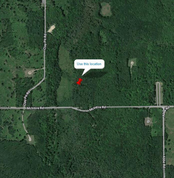 Mcintire Road Mio, MI 48647 - Photo 2 of 17 Gallery Image 2