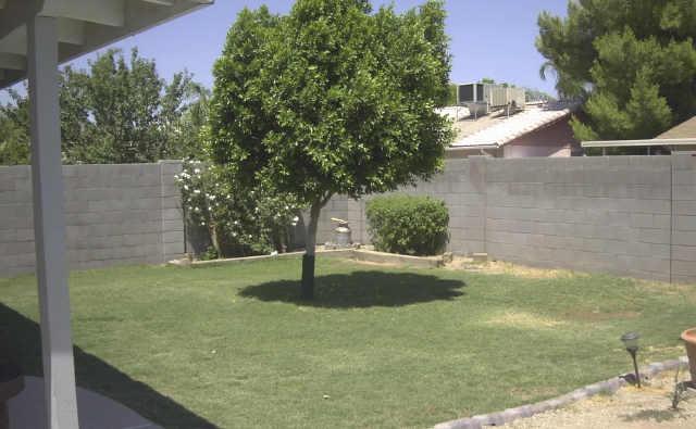 6408 West Hatcher Road Glendale, AZ 85302 - Photo 2 of 3 Additional Photo