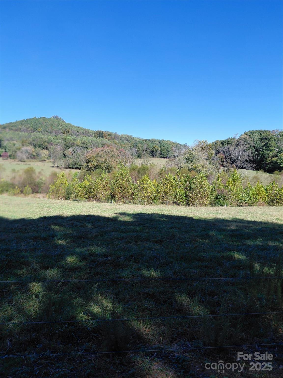 0 Collins Road Hamptonville, NC 27020 - Photo 3 of 14 Gallery Image 3