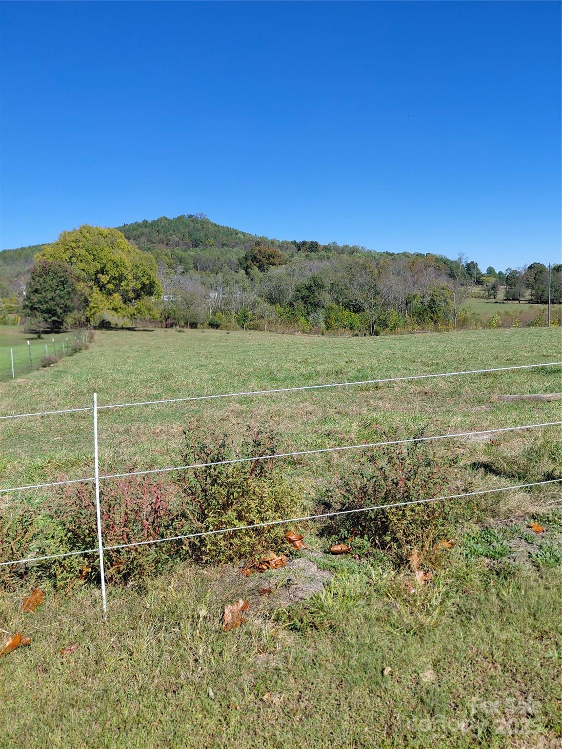 0 Collins Road Hamptonville, NC 27020 - Photo 4 of 14 Gallery Image 4