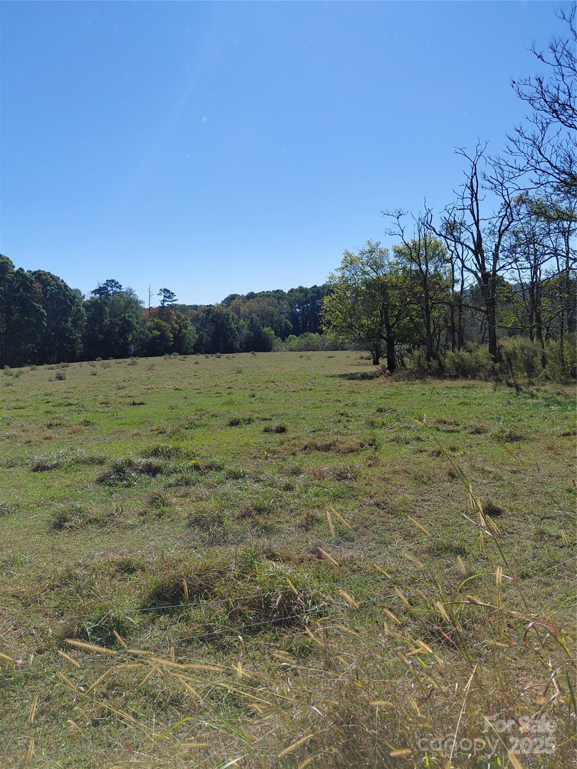 0 Collins Road Hamptonville, NC 27020 - Photo 9 of 14 Gallery Image 9