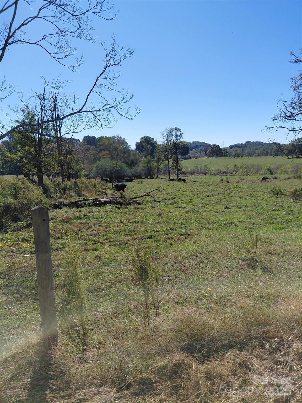 0 Collins Road Hamptonville, NC 27020 - Photo 10 of 14 Gallery Image 10