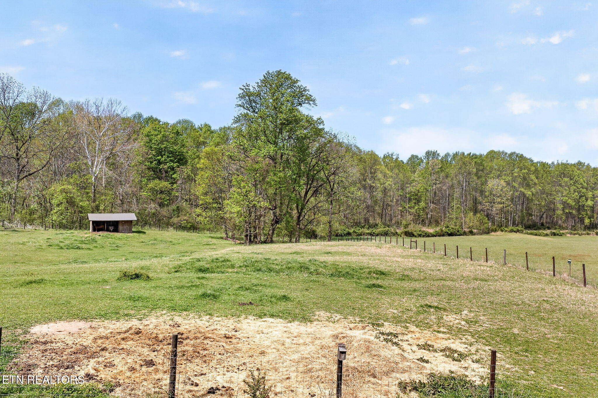 1218 Moody Road Byrdstown, TN 38549 - Photo 53 of 60 14-web-or-mls-1218 Moody Rd_069_TNPC