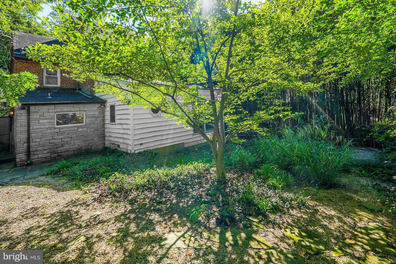 302 Windsor Street Silver Spring, MD 20910 - Photo 47 of 56 Gallery Image 47